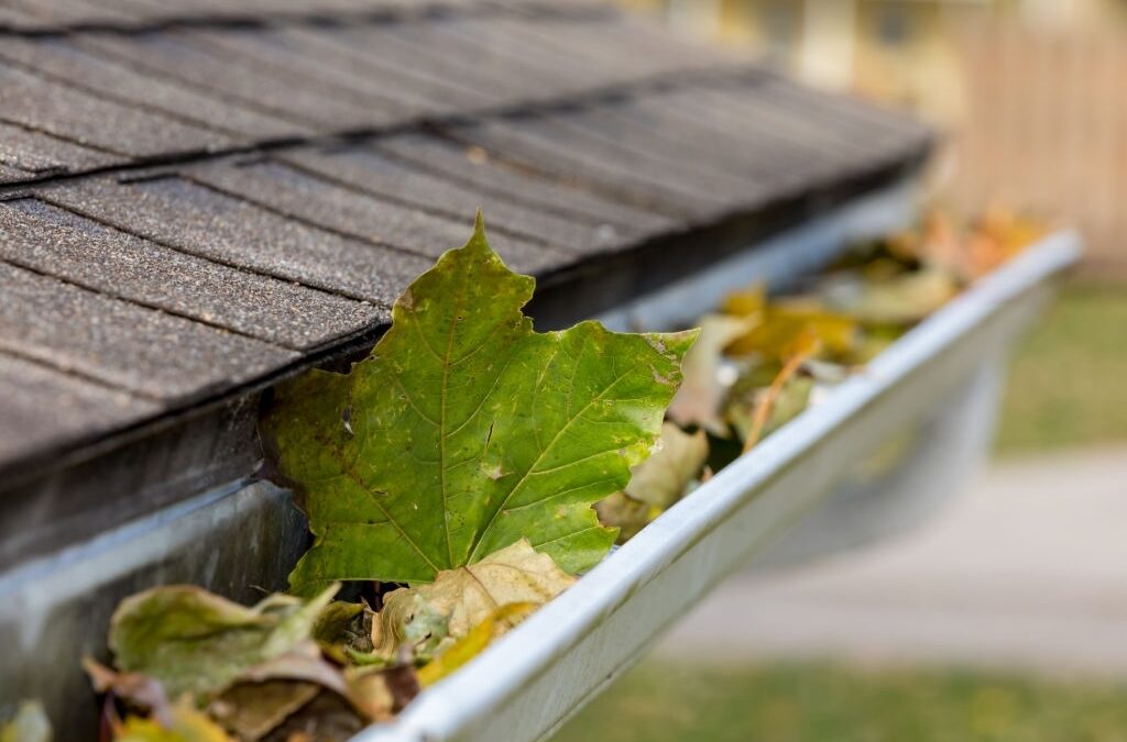 Gutter Repair Cost – Find the Right Solution For Your Home