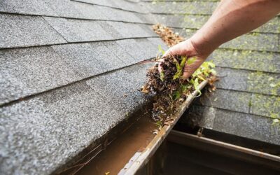 How Often Should You Clean the Roof in Des Moine